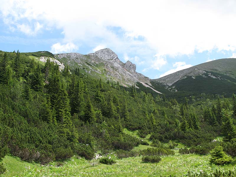 schneeberg